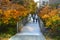 People in High Line, elevated linear park, greenway and rail trail created on former New York Central Railroad spur on west side o