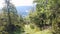 People hike up the mountain forest at sunny day Norway