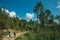 People hiking on dirt road over hilly terrain covered by trees