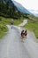 People hiking in the Krimml Achental valley