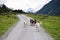 People hiking in the Krimml Achental valley