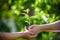 People holding young plant in hands against green spring background. Earth day ecology holiday concept