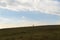 People on the horizon of meadow during sunset.