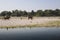 People horseback riding along the river