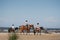 People on horses on beach walk summer day