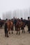 People and horses at the livestock market