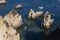 People kayaking and stand up paddle boarding near the rock formations at the Ponta Joao de Arens, near the Alemao Beach Praia do