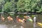 People with kayaks on the river Semois near Bouillon, Belgium