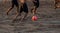 People kicking a bright soccer ball on the beach