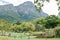 People in the Kirstenbosch National Botanical Gardens