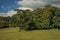 People, lawn, trees and blue sky in the late afternoon light, at Laeken Park in Brussels.