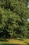 People, lawn, trees and blue sky in the late afternoon light, at Laeken Park in Brussels.