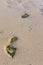 People leave tracks on sand beach El Cotillo, Fuerteventura, Can