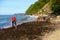 People looking for amber in seaweed on the shore of the Baltic Sea