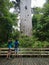 People looking at Tane Mahuta, New Zealand\'s largest kauri tree