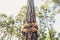 People and love for nature environment concept with hands hugging a trunk tree in the forest - stop deforestation and save the