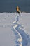 People make path through the snow to feed swans on the river