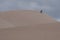 People making their way down the dunes, at the Alexandria coastal dune fields near Addo / Colchester, South Africa.