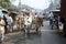 People on market in Kumrokhali, West Bengal, India