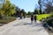 People in masks walking along a long paved walking path in the garden with lush green trees and plants along the path