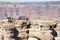 People at the Mathers Point lookout at Grand Canyon in South Rim