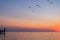 People meet the colorful sunrise on the beach to the sea. silhouettes of people and seagulls. father holds a child on his