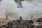 People mining sulphur in Ijen volcano, Java , Indonesia