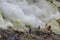 People mining sulphur in Ijen volcano, Java , Indonesia