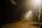 People motion blur in the park, night and heavy fog