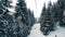 People moving up the snow forest on ski elevator. Beautiful snowy mountain landscape with tall fir trees covered with snow.