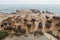 People and Mushroom rocks at the Yehliu Geopark