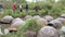 People near giant Galapagos turtles in muddy water.