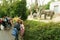 People observing the elephants in the Zoo Zurich