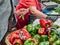 People out of focus, not recognisable in the field. Person buying fresh fruit and vegetables