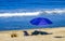 People parasols sun loungers beach waves palms Zicatela Mexico