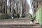 people in the Park walking along the path, trees, walkway, spring