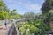 People Photographing Birds In The Rookery At Alligator Farm in St. Augustine