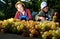 People picking grapes in Plovdiv