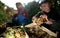 People picking grapes in Plovdiv