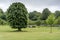 People are on a picnic and walk in the memorial park at Marselisborg Castle, green grass, green trees