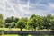 People picnicking in a park amongst trees, plane trails in the sky