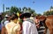 People in the Pilgrimage of the Virgin of Rocio, Brotherhood of Seville, Spain