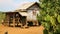 people planting coffee tree in front of village house, Laos