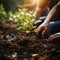 People planting seedlings in the ground, close up gardening