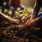 People planting seedlings in the ground, close up gardening