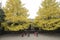 People play Taiji in a temple