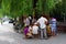 People playing chess with a group of viewers under a willow tree at the street corner