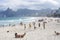 People playing footvolley on Ipanema beach