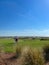 People playing on the Ocean Course Golf Course on Kiawah Island in South Carolina