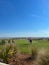 People playing on the Ocean Course Golf Course on Kiawah Island in South Carolina